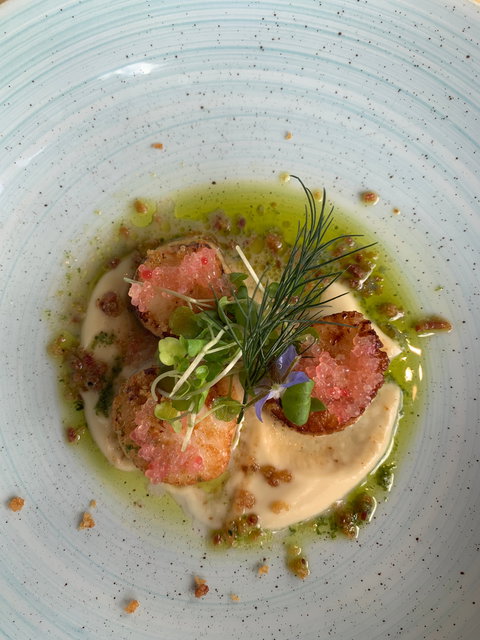 Kooroomba Vineyards Restaurant - Tourism Gold Coast 4