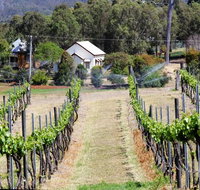 Prendergasts Irish Tavern - Tourism Gold Coast