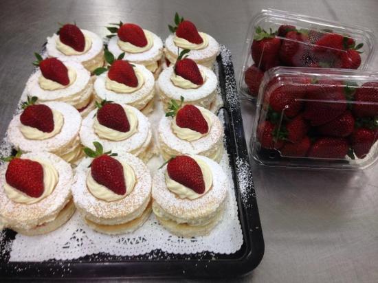 Jacobs Well QLD Tourism Gold Coast