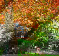 The Woods Ravensbourne - Tourism Gold Coast