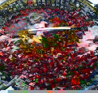 Red Chilli Sichuan Burwood - Tourism Gold Coast