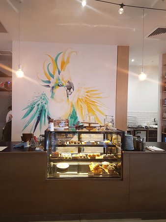 Freshwater Creek ACT Tourism Gold Coast