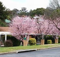White Lanterns Motel - Tourism Gold Coast