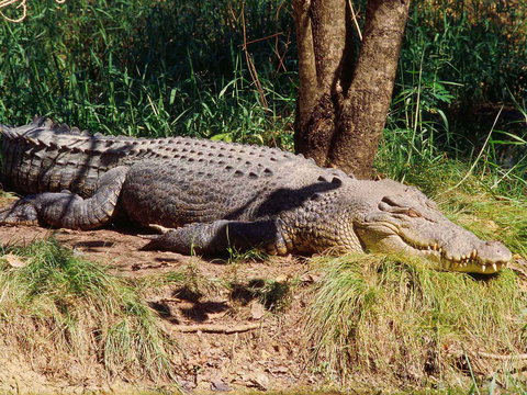 Novotel Darwin Atrium - Tourism Gold Coast 16