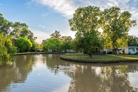 Discovery Parks Moama Maidens - Tourism Gold Coast 0