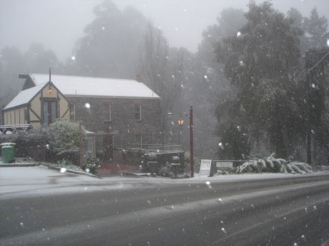 Adeline Bed & Breakfast - Tourism Gold Coast 1