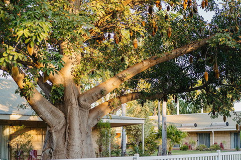 Kimberley Grande Resort & Conf Ctr - Tourism Gold Coast 0