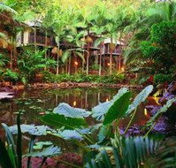 Daintree Eco Lodge  Spa - Tourism Gold Coast