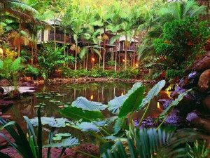 Daintree Eco Lodge & Spa - Tourism Gold Coast 0