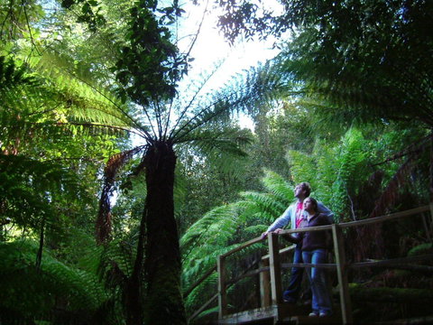 Huon Bush Retreats - Tourism Gold Coast 1