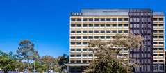 Mantra MacArthur Hotel - Tourism Gold Coast 0