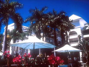 Alamanda Palm Cove - Tourism Gold Coast 1