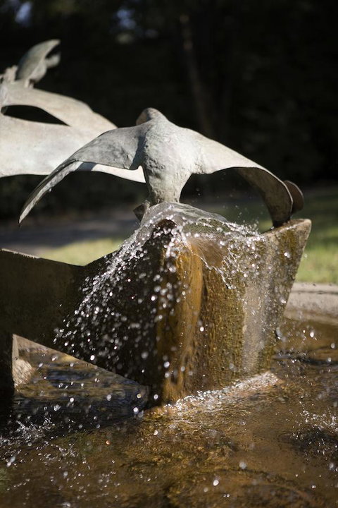 University House - ANU - Gold Coast 30