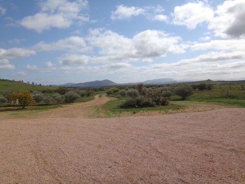 Windana Cottages - Tourism Gold Coast 37