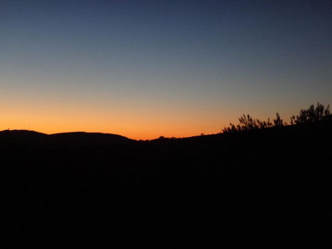 Windana Cottages - Tourism Gold Coast 0