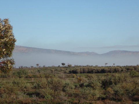 Windana Cottages - Tourism Gold Coast 44