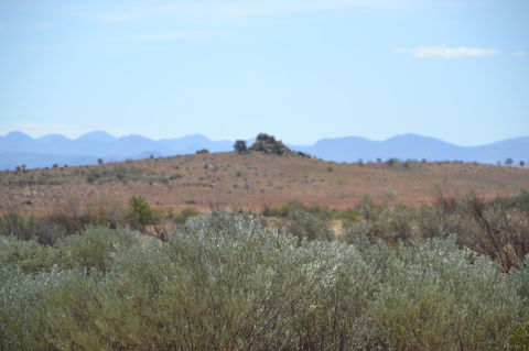 Windana Cottages - Tourism Gold Coast 30