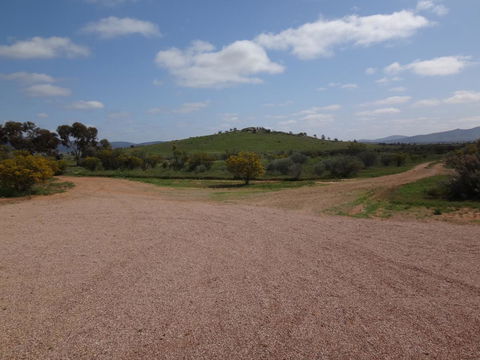 Windana Cottages - Tourism Gold Coast 38