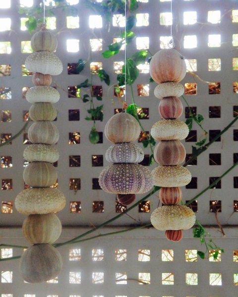 Driftwood On Dover - Tourism Gold Coast 11