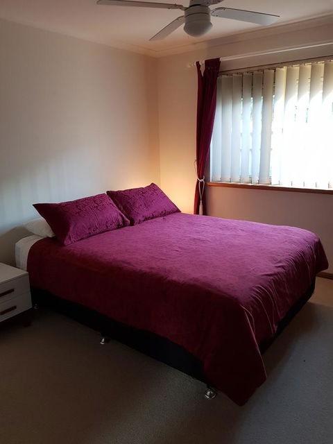 Frog Song At Willunga - Gold Coast 3