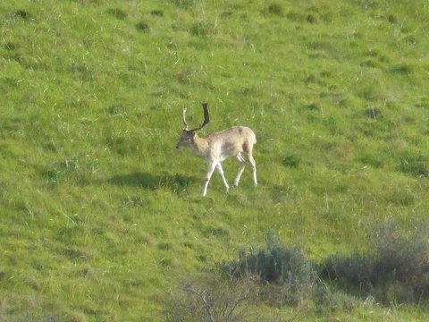 Molly's Chase - Tourism Gold Coast 12