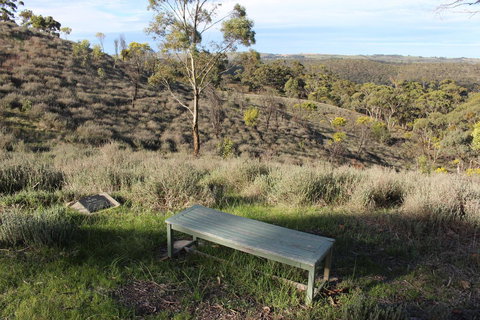 Molly's Chase - Tourism Gold Coast 31