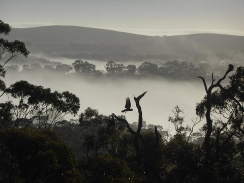 Molly's Chase - Tourism Gold Coast 28