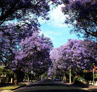Monaco Court Apartment Adelaide - Gold Coast