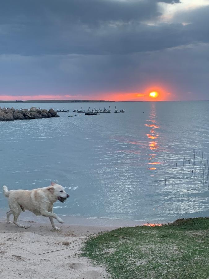 Meningie West SA Tourism Gold Coast