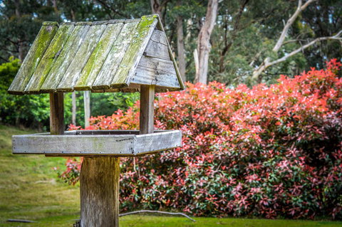 Ghost Hill Road Retreat - Tourism Gold Coast 17