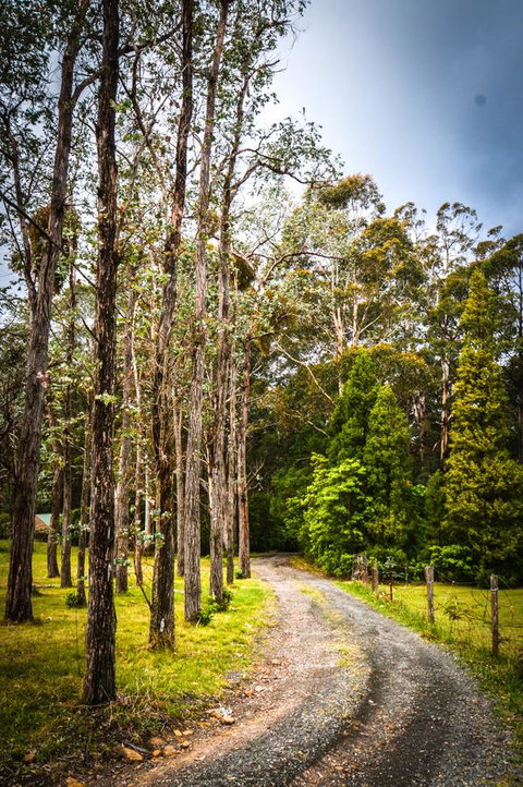 Ghost Hill Road Retreat - Tourism Gold Coast 14