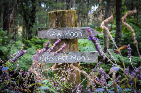 Ghost Hill Road Retreat - Tourism Gold Coast 15