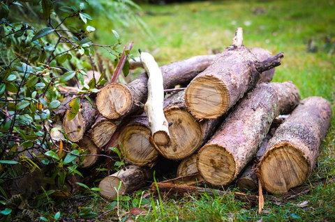 Ghost Hill Road Retreat - Tourism Gold Coast 19