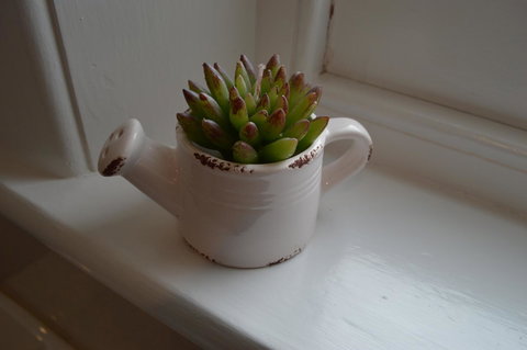 Two Cow Cottage Bed & Breakfast - Gold Coast 21