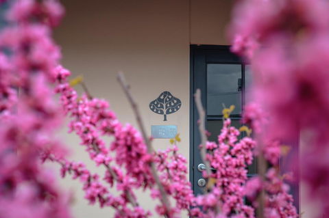 The Studios By Manna, Ascend Hotel Collection - Tourism Gold Coast 28