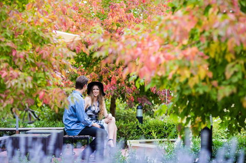 The Studios By Manna, Ascend Hotel Collection - Tourism Gold Coast 26