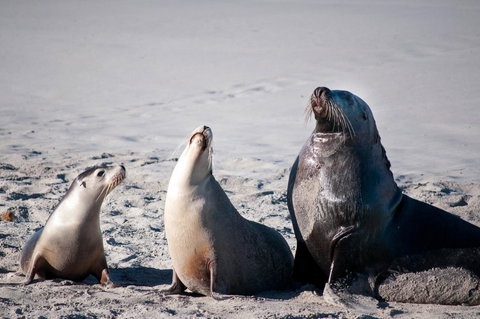 Admirals Inn - Gold Coast 39