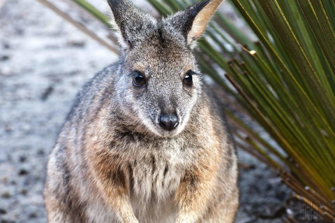 Admirals Inn - Gold Coast 32