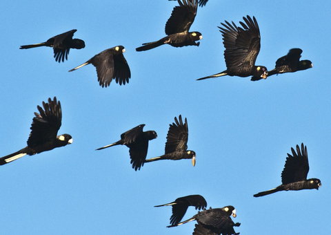 Admirals Inn - Gold Coast 42