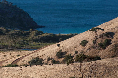 Admirals Inn - Gold Coast 44