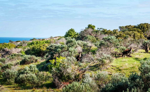 Admirals Inn - Gold Coast 36