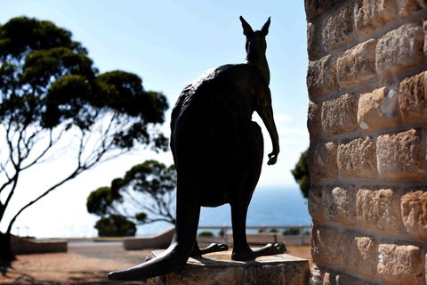 Admirals Inn - Gold Coast 12