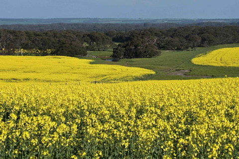 Admirals Inn - Gold Coast 41