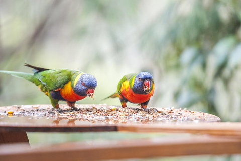 Smiths Lake House - Tourism Gold Coast 18