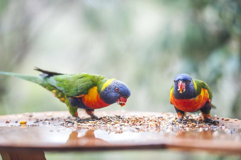 Smiths Lake House - Tourism Gold Coast 28