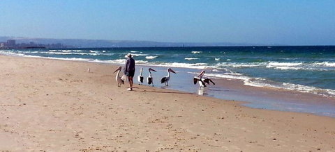 Atlantic West Beach Apartments - Gold Coast 20