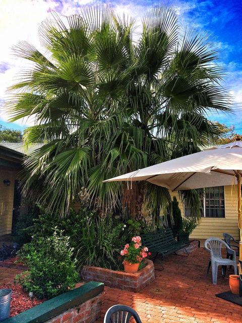 Ten Dollar Town Motel - Tourism Gold Coast 17