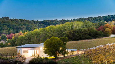 Esto House - Gold Coast 22