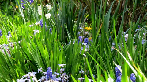 The Pig And Whistle - Tourism Gold Coast 23