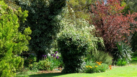 The Pig And Whistle - Tourism Gold Coast 19